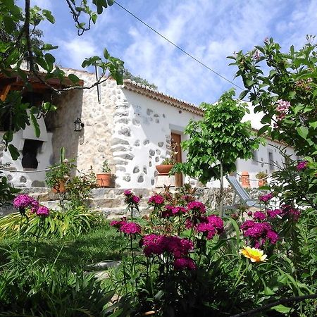 Quinta Do Tempo Turismo Rural Monchique Extérieur photo